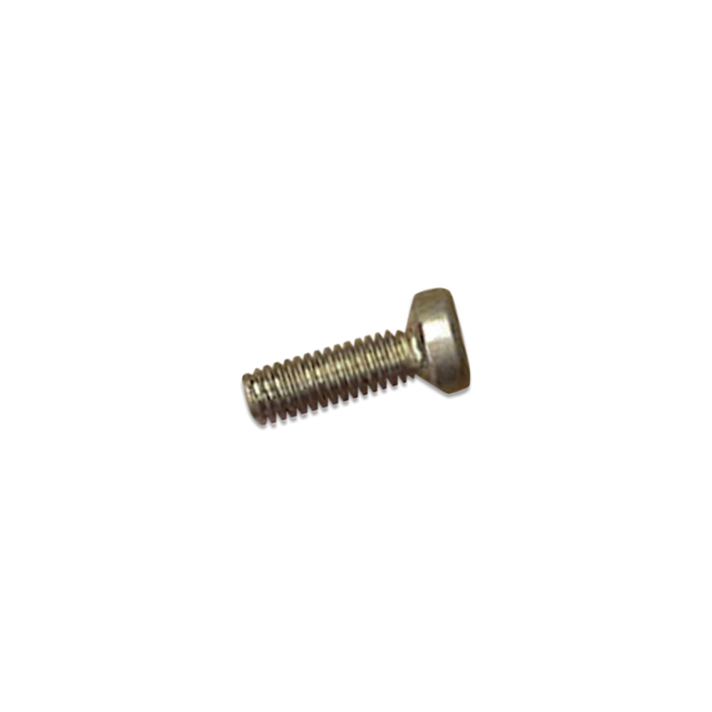 Webasto Motor Plate Screw