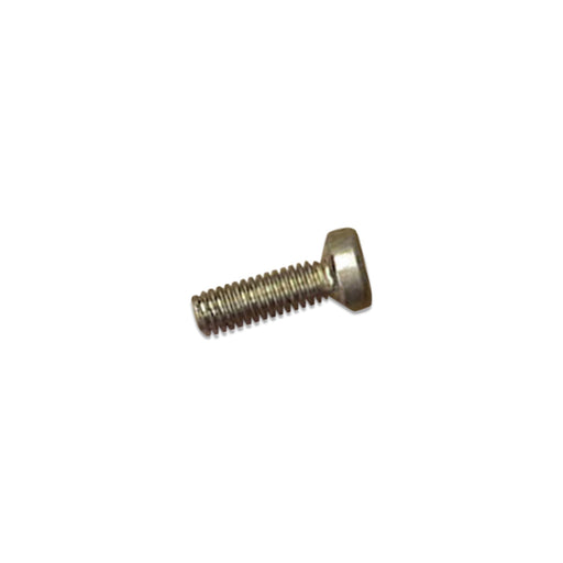 Webasto Motor Plate Screw