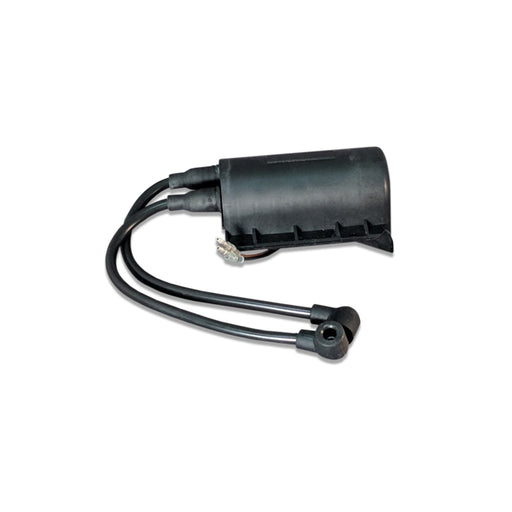 Webasto 24VDC Ignition Coil