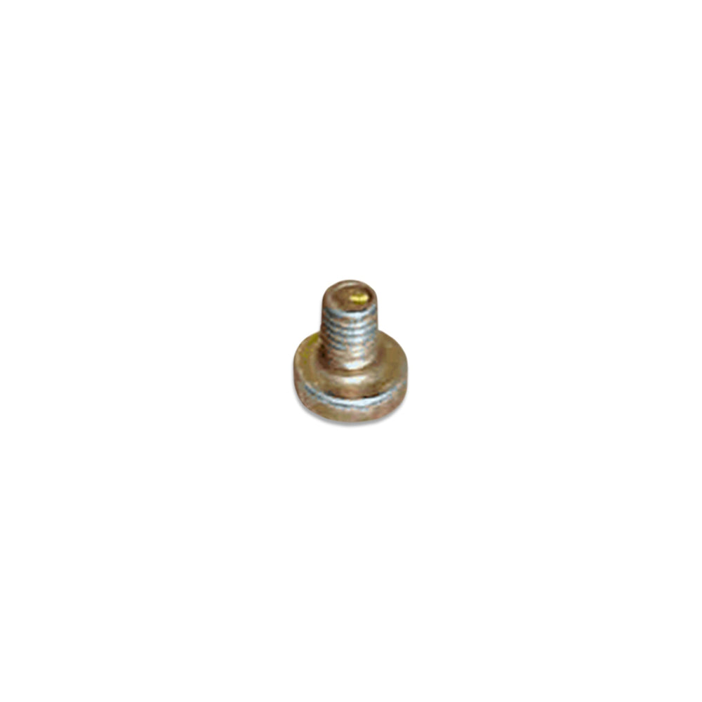 Webasto Flame Sensor Screw WPX-147-699