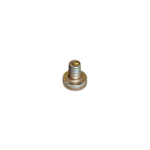 Webasto Flame Sensor Screw WPX-147-699